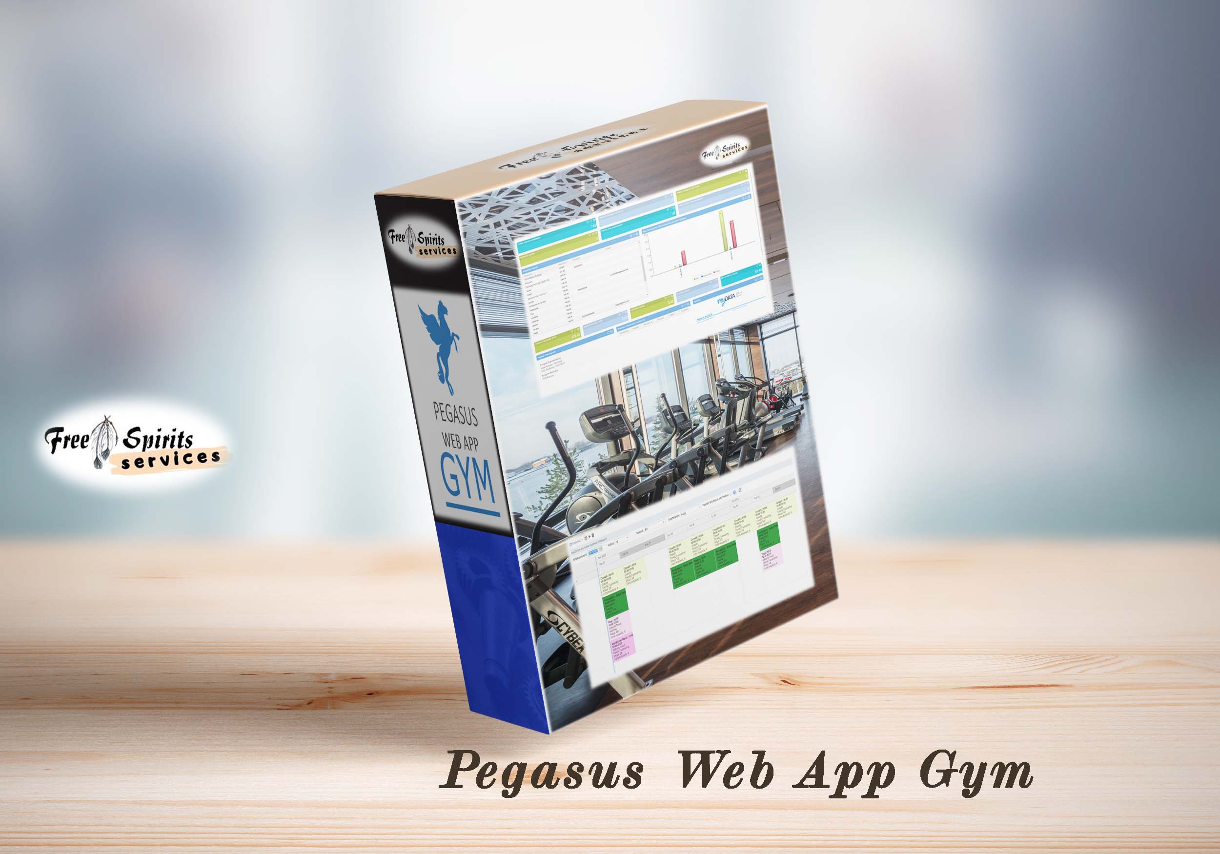 Pegasus Gym